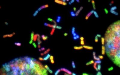 Con nuestro estilo de vida podemos ‘engañar’ a los genes