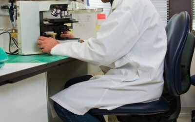 Arterias coronarias y ‘operación salida’