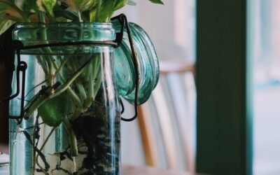 Consumir mucha sal aumenta el riesgo de sufrir un accidente cerebrovascular